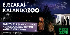 Állatkertek Éjszakája Pécs 2022