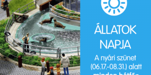 Állatok napja hétfőnként a Miniversumban a nyári vakáció idején Állatok napja hétfőnként a Miniversumban a nyári vakáció idején