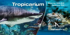 Tropicarium programok 2023 Budapest
