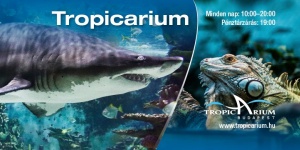 Tropicarium programok 2024 Budapest