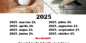 Kisállatvásár Kecskemét 2024