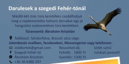 Őszi darules a szegedi Fehér-tónál 2023
