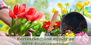 Kertészkedés tanfolyam 2023. Kertészkedjünk együtt a Szegedi Füvészkertben!