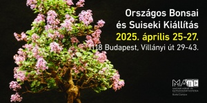 Bonsai kiállítás 2025 Budapest. Országos Bonsai és Suiseki  Kiállítás