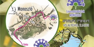 Szedd magad nárcisz program 2023 Balaton. Húsvéti nárcisz szüret Monoszlón