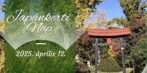 Japánkerti Nap 2025 Budapest. Nyílt nap a Zuglói Japánkertben