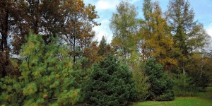 Kecskeméti Arborétum programok 2023
