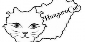 Macskakiállítás 2019. HungaroCat Macska Világkiállítás Orosháza Macskakiállítás 2019. HungaroCat Macska Világkiállítás Orosháza