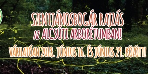 Szentjánosbogár tánc az Alcsúti Arborétumban, éjszakai fényjáték 2018 Szentjánosbogár tánc az Alcsúti Arborétumban, éjszakai fényjáték 2018