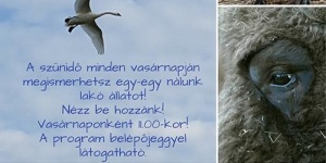 Szünidei állatkert programok a Körösvölgyi Látogatóközpont és Állatparkban 2018 Szünidei állatkert programok a Körösvölgyi Látogatóközpont és Állatparkban 2018