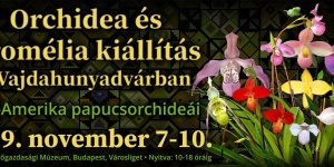 Orchidea és Bromélia Kiállítás és Vásár 2019 Vajdahunyadvár Budapest Orchidea és Bromélia Kiállítás és Vásár 2019 Vajdahunyadvár Budapest