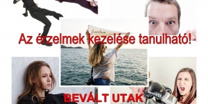 Érzelmek kezelése, tréning az érzelmekről és az érzelmi intelligenciáról Érzelmek kezelése, tréning az érzelmekről és az érzelmi intelligenciáról