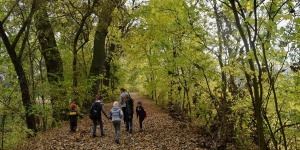 Kontyvirág tanösvény Lakitelek, ökotúra a Duna-Tisza-közén, a Kiskunsági Nemzeti Parkban