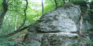 Barát-réti tanösvény Felsőtárkány, ökotúra a Bükki Nemzeti Parkban Barát-réti tanösvény Felsőtárkány, ökotúra a Bükki Nemzeti Parkban