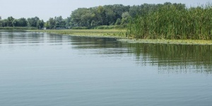 Tisza-tavi kenu és kajak bérlés Tiszafüreden, a Szabics Kikötőben
