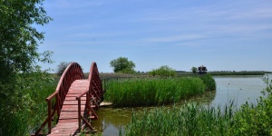 Fotó: Lisztes László