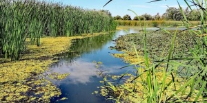 Tisza-tavi csónaktúrák 2024. Ha szereti a kalandot várjuk meseszép tavi csónaktúráinkon