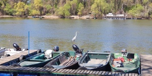 Tiszafüred csónaktúra 2026. Tisza-tavi csónaktúrák túravezetővel a Szabics Kikötőből