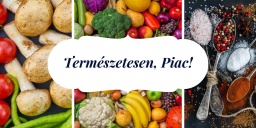 Szombathely Városi Vásárcsarnok programok 2023. Események, rendezvények