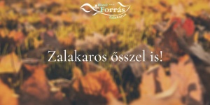 Őszi wellness Zalakaroson, fürdőzési lehetőséggel kedvező áron a Forrás Hotelben