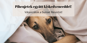 Fonyódi szállás, pihenj együtt kiskedvenceddel a Sunset Resort - Lakeside Boutique Apartments-ben