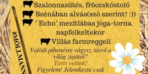 Szállás farmon szénában alvással! Möllmann Ranch látogatás kétnapos móri kikapcsolódással Szállás farmon szénában alvással! Möllmann Ranch látogatás kétnapos móri kikapcsolódással