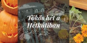 Halloween wellness hosszú hétvége Móron tökfaragással, lámpás túrával, szauna szeánszokkal Halloween wellness hosszú hétvége Móron tökfaragással, lámpás túrával, szauna szeánszokkal