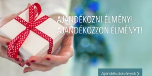 Ajándékutalvány karácsonyra a győri ETO Park Hotel**** Superior Business & Stadium szállodába Ajándékutalvány karácsonyra a győri ETO Park Hotel**** Superior Business & Stadium szállodába