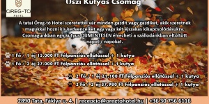 Wellness pihenés kutyával Gyopárosfürdőn, a Hotel Corvus Aqua szállodában Wellness pihenés kutyával Gyopárosfürdőn, a Hotel Corvus Aqua szállodában
