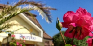 Majális Móron wellness szállodánkban családi programokkal a Hétkúti Wellness Hotelben Majális Móron wellness szállodánkban családi programokkal a Hétkúti Wellness Hotelben