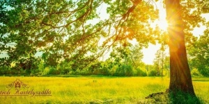 Nyaralás kastélyszállóban akciós áron Szelestén, a mesebeli arborétumnál épült kastélyszállóban Nyaralás kastélyszállóban akciós áron Szelestén, a mesebeli arborétumnál épült kastélyszállóban