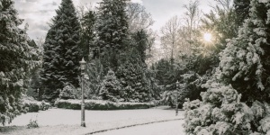 Kastélyszálló Szombathely mellett gyönyörű környezetben gyógyfürdővel és arborétummal Kastélyszálló Szombathely mellett gyönyörű környezetben gyógyfürdővel és arborétummal