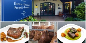 Angus marha Balatonfenyvesen programokkal és marhaételekkel a Hubertus Hof Landhotelben Angus marha Balatonfenyvesen programokkal és marhaételekkel a Hubertus Hof Landhotelben