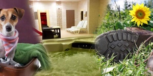 Tavaszi Mátra családi programokkal és wellness szállással a Selfness Hotel Vadvirágban Tavaszi Mátra családi programokkal és wellness szállással a Selfness Hotel Vadvirágban