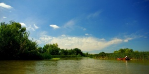 Amur horgászat ősszel a Tisza-tónál, szállással a tóparti Balneum Hotelben Amur horgászat ősszel a Tisza-tónál, szállással a tóparti Balneum Hotelben