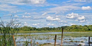 Pihenés a Tisza-tónál ősszel, Ökocentrum belépővel és szauna rituálékkal a Tisza Balneum Hotelben Pihenés a Tisza-tónál ősszel, Ökocentrum belépővel és szauna rituálékkal a Tisza Balneum Hotelben