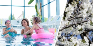 Kehidakustányi wellness akció! Majális hosszú hétvége a Gyógy- és Élményfürdőben Kehidakustányi wellness akció! Majális hosszú hétvége a Gyógy- és Élményfürdőben