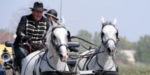 Orosházi lóverseny 2019. Ügető-Galopp Futam és Fogathajtó Verseny Orosházi lóverseny 2019. Ügető-Galopp Futam és Fogathajtó Verseny