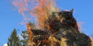 A kép illusztáció. A kép forrása: Pixabay.com