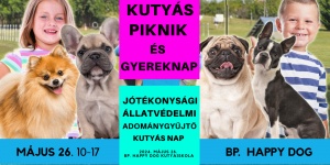Kutyás Piknik 2024 Budapest. Gyereknap és Jótékonysági Állatvédelmi Nap
