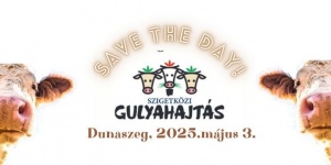 Szigetközi Gulyahajtás 2025 Dunaszeg