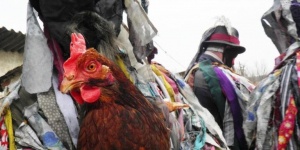 Tikverőzés Moha 2026. Húshagyó kedd farsangi népszokás