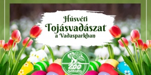 Húsvéti programok Szeged 2025. Események, rendezvények