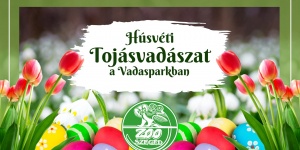 Húsvéti programok Szeged 2024. Események, rendezvények
