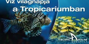 Víz világnapja Tropicarium 2023 Budapest