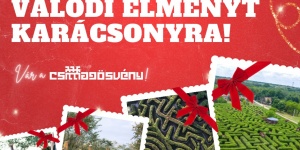 Csillagösvény belépő online ajándékutalvány karácsonyi ajándék