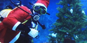 Tropicarium Karácsony 2025