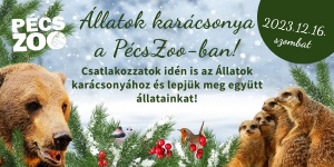 Állatok karácsonya 2023 Pécsi Állatkert