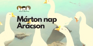 Márton-nap Balatonfüred 2023. Arácsi Márton-nap és újbor kóstoló