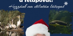 Mikulás-napi program Poroszló 2025 Tisza-tavi Ökocentrum